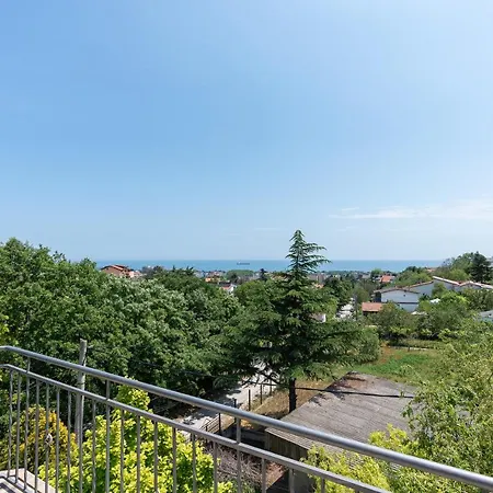 костадинов 3* Warna