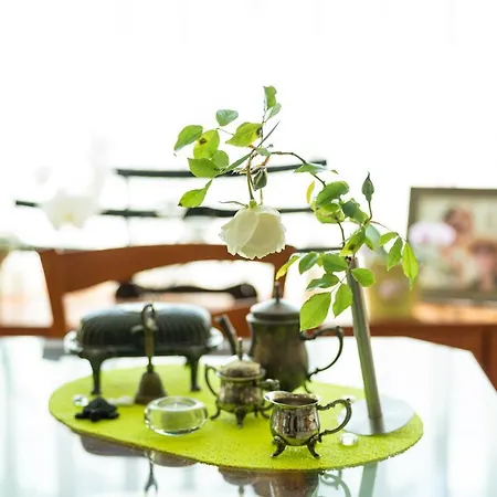 костадинов 3*