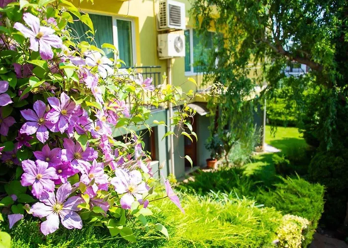 костадинов 3* Varna