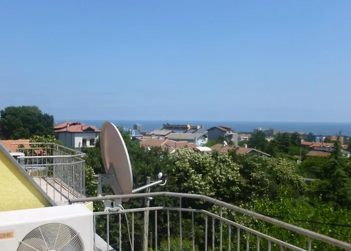 костадинов 3*