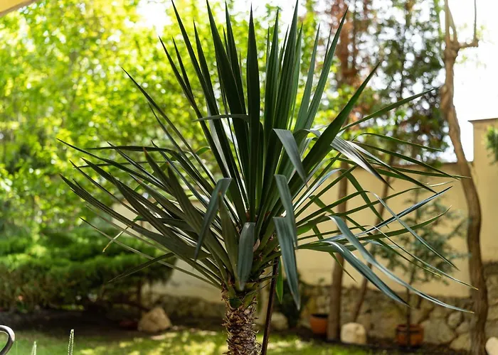 костадинов Vendégház Várna