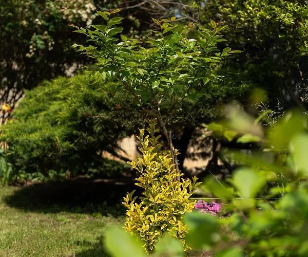 Vendégház костадинов