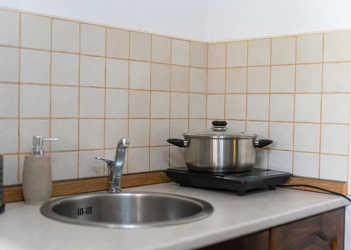 костадинов