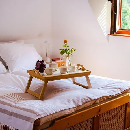 Guest house костадинов