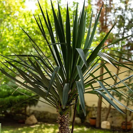 костадинов Vendégház Várna