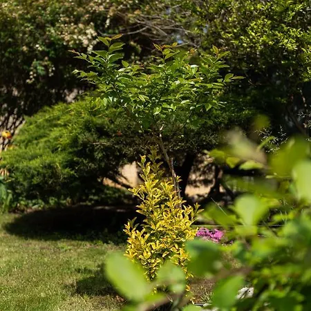 Vendégház костадинов