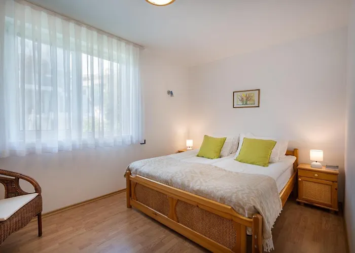 костадинов 3* Warna
